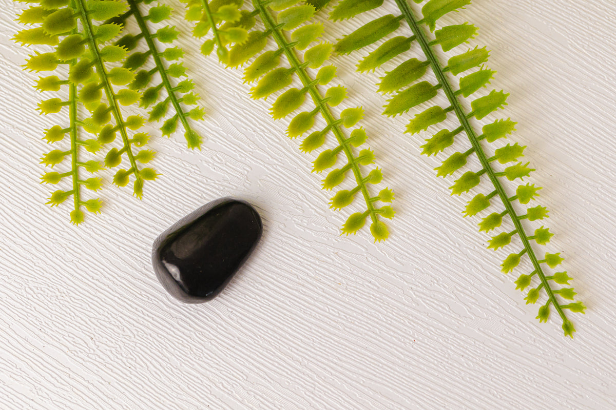 Shungiet trommelstenen