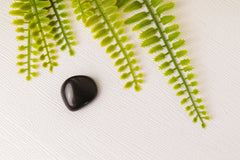 Shungiet trommelstenen