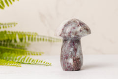 Rubeliet paddenstoel