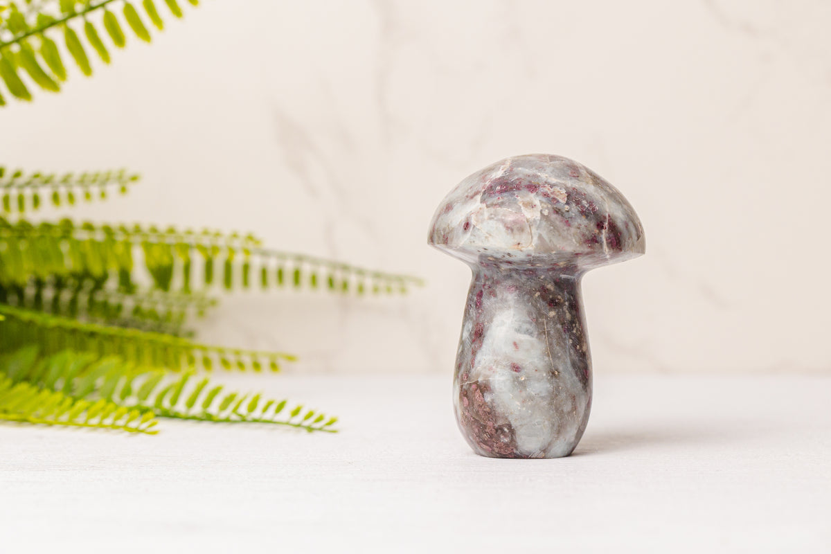 Rubeliet paddenstoel