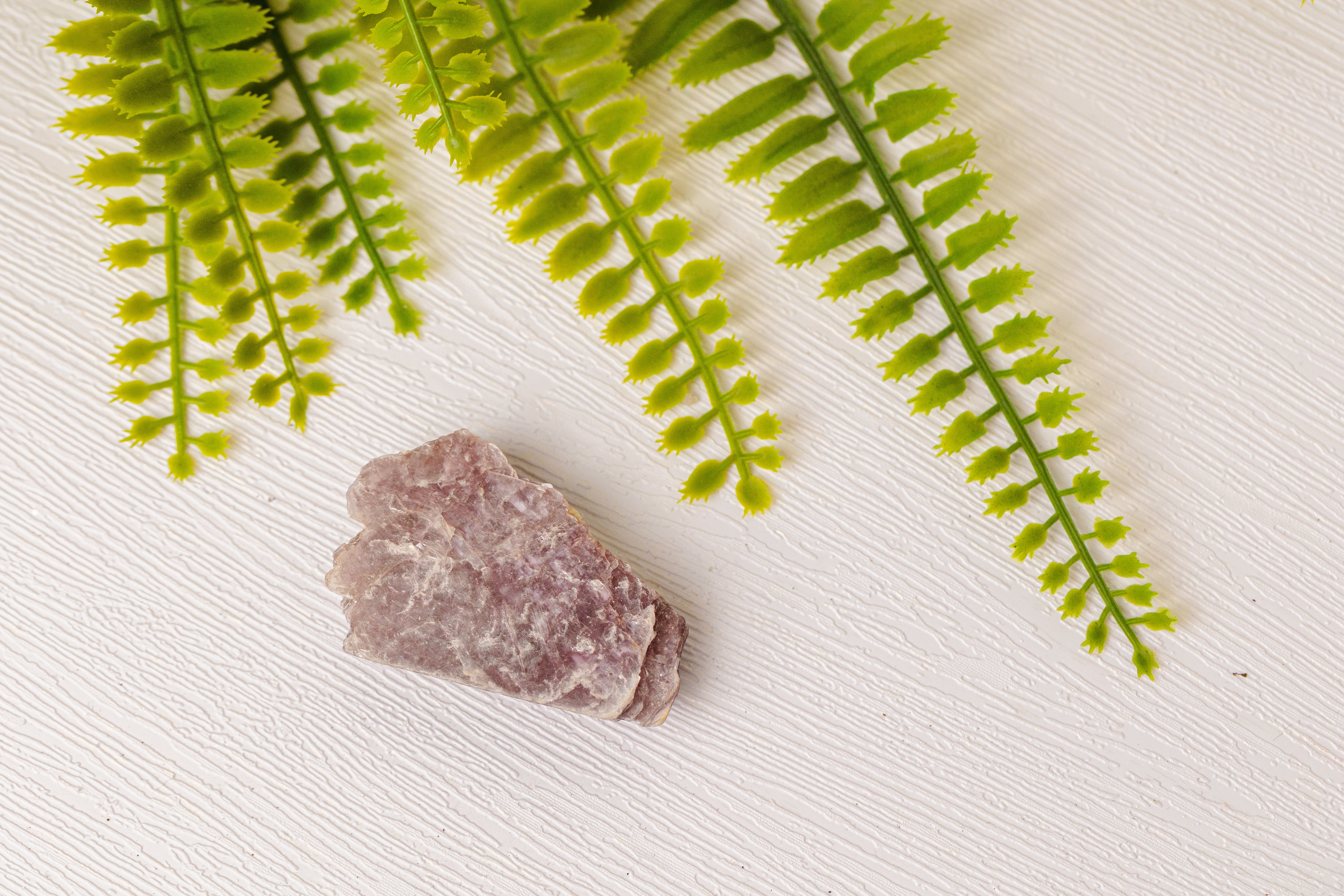 Paarse lepidoliet ruwe stukken