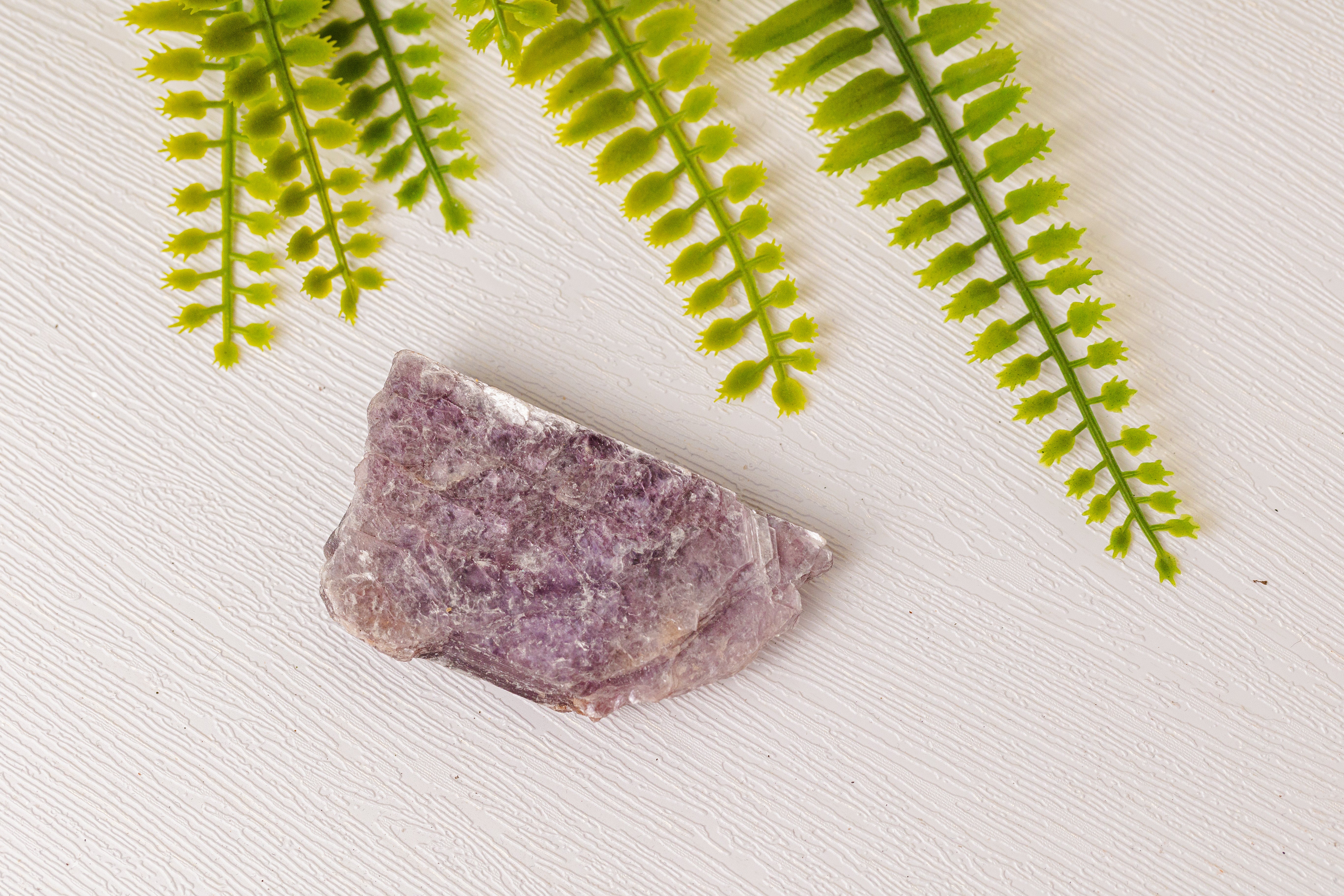 Paarse lepidoliet ruwe stukken