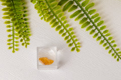 Barnsteen met ingesloten insect in doosje