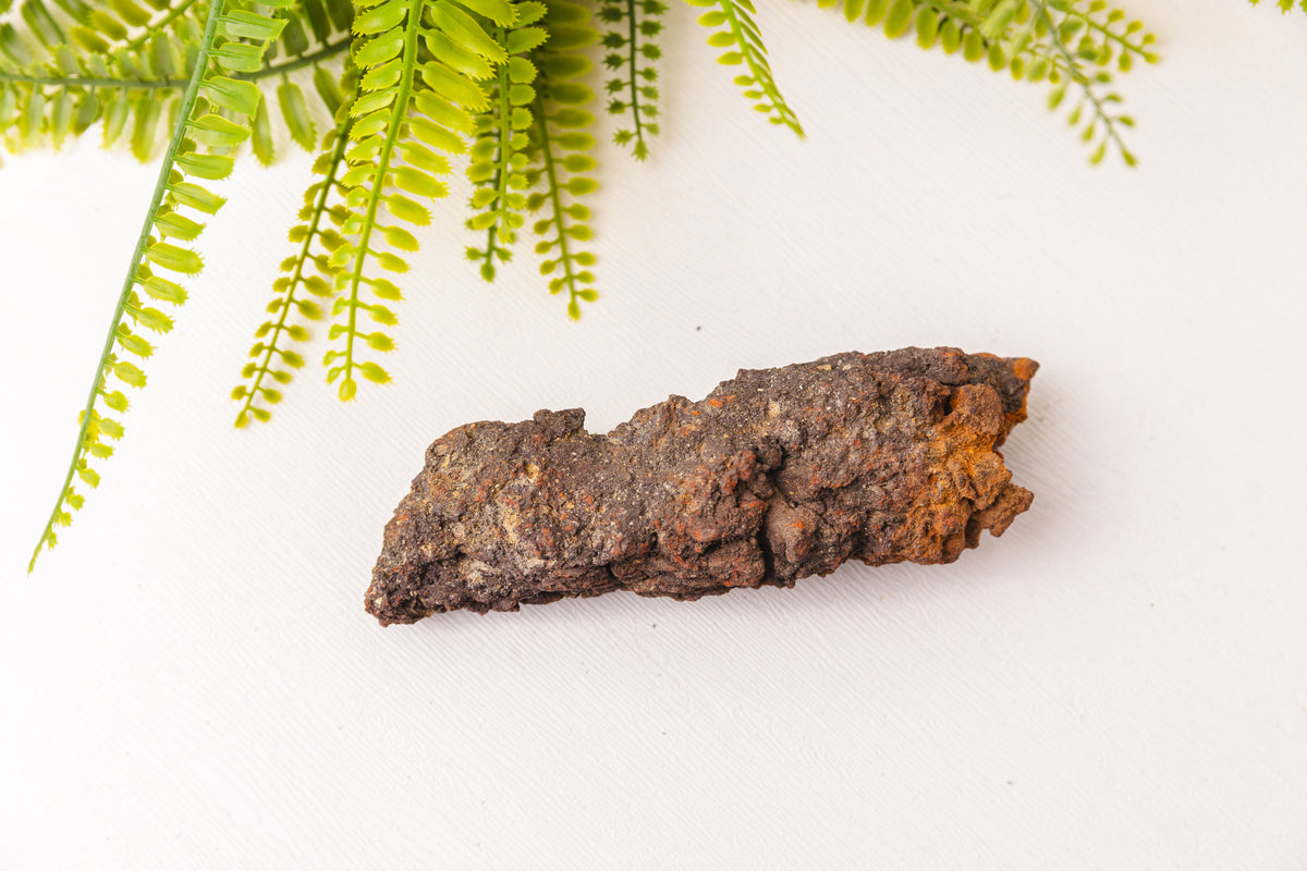 Ruwe coproliet stukken