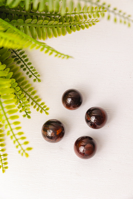 Tijgerijzer bollen