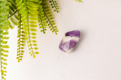 Dogteeth amethist trommelstenen XL