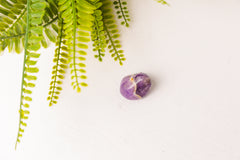 Dogteeth amethist trommelstenen