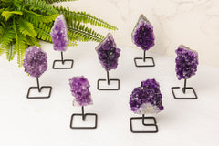 Amethist clustertjes op zwart standaardje - A kwaliteit