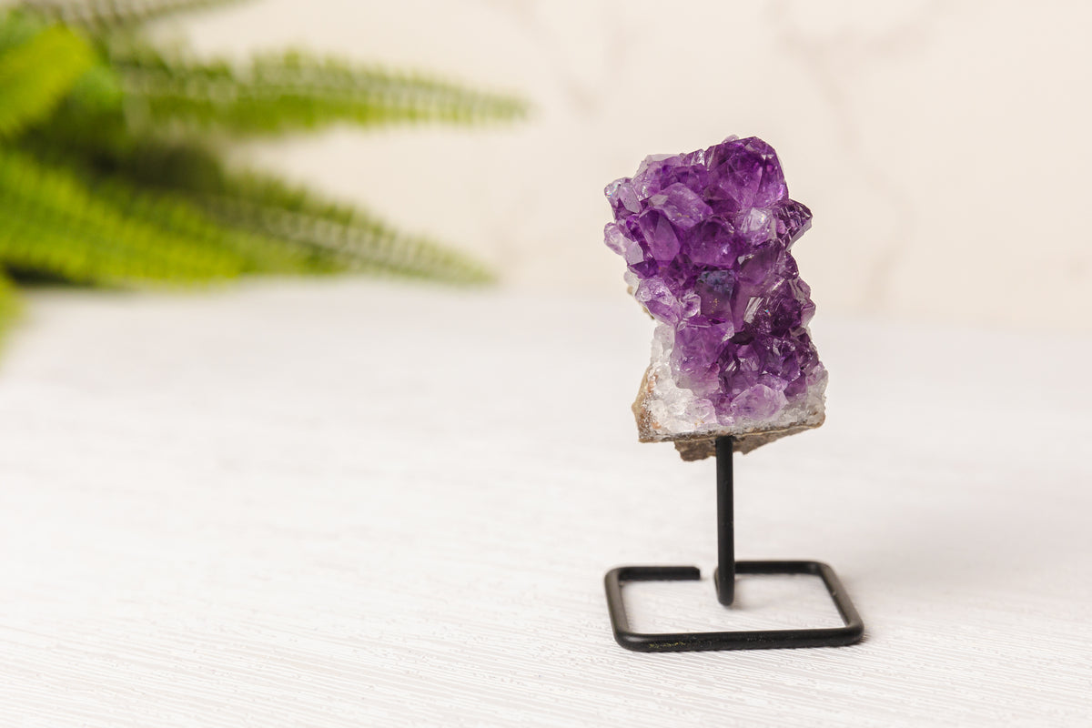 Amethist clustertjes op zwart standaardje - A kwaliteit