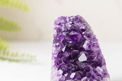 Amethist Cutbase Uruguay - AA kwaliteit #3