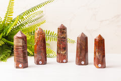 Versteend hout punten uit Madagaskar