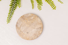 Versteend hout onderzetter