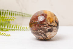 Versteend hout bollen