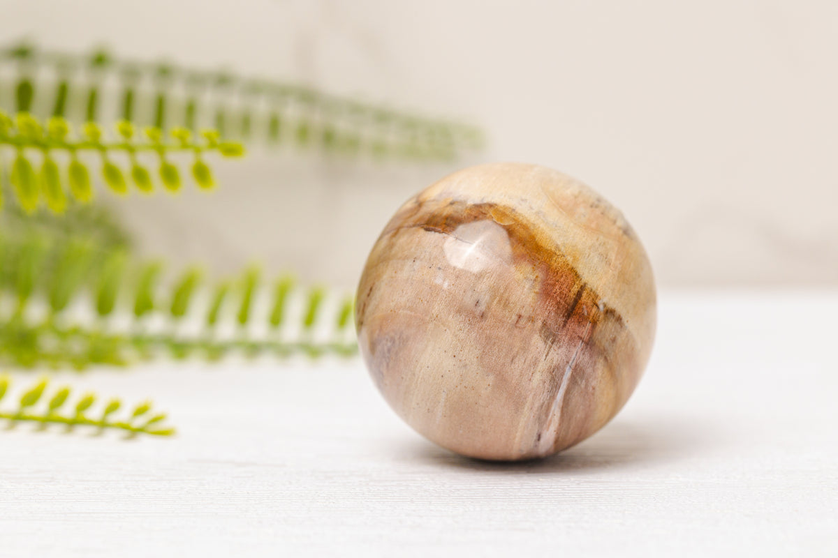 Versteend hout bollen