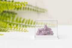 Druifagaat in doosje