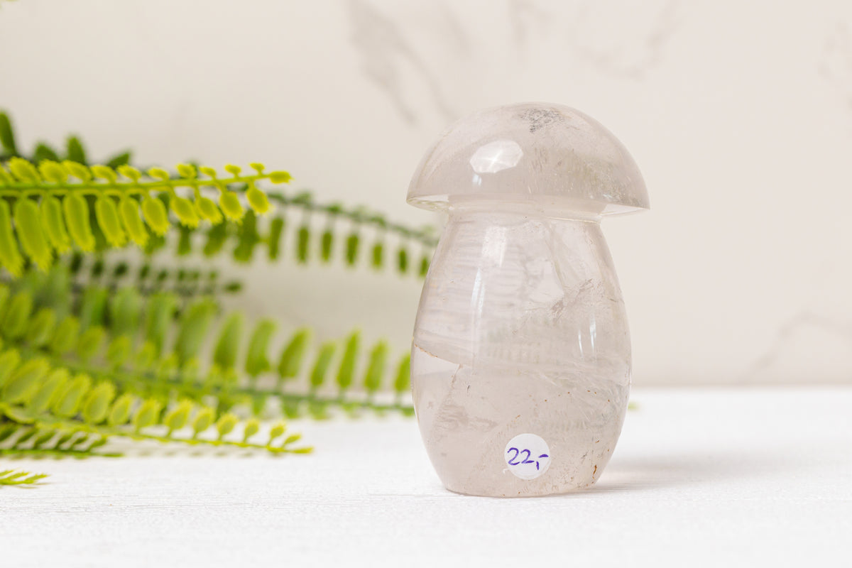 Bergkristal paddenstoelen