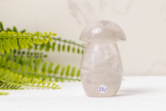 Bergkristal paddenstoelen