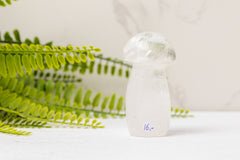 Bergkristal paddenstoelen