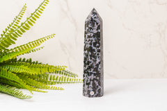 Gabbro Merliniet punten