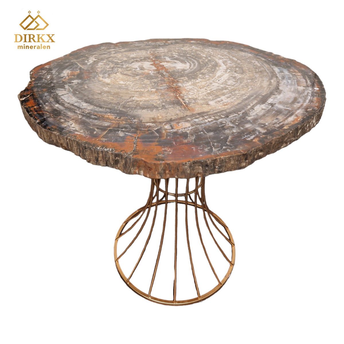 Zeldzame Versteend ohne Tafel aus Arizona