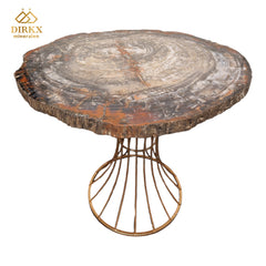 Zeldzame Versteend ohne Tafel aus Arizona