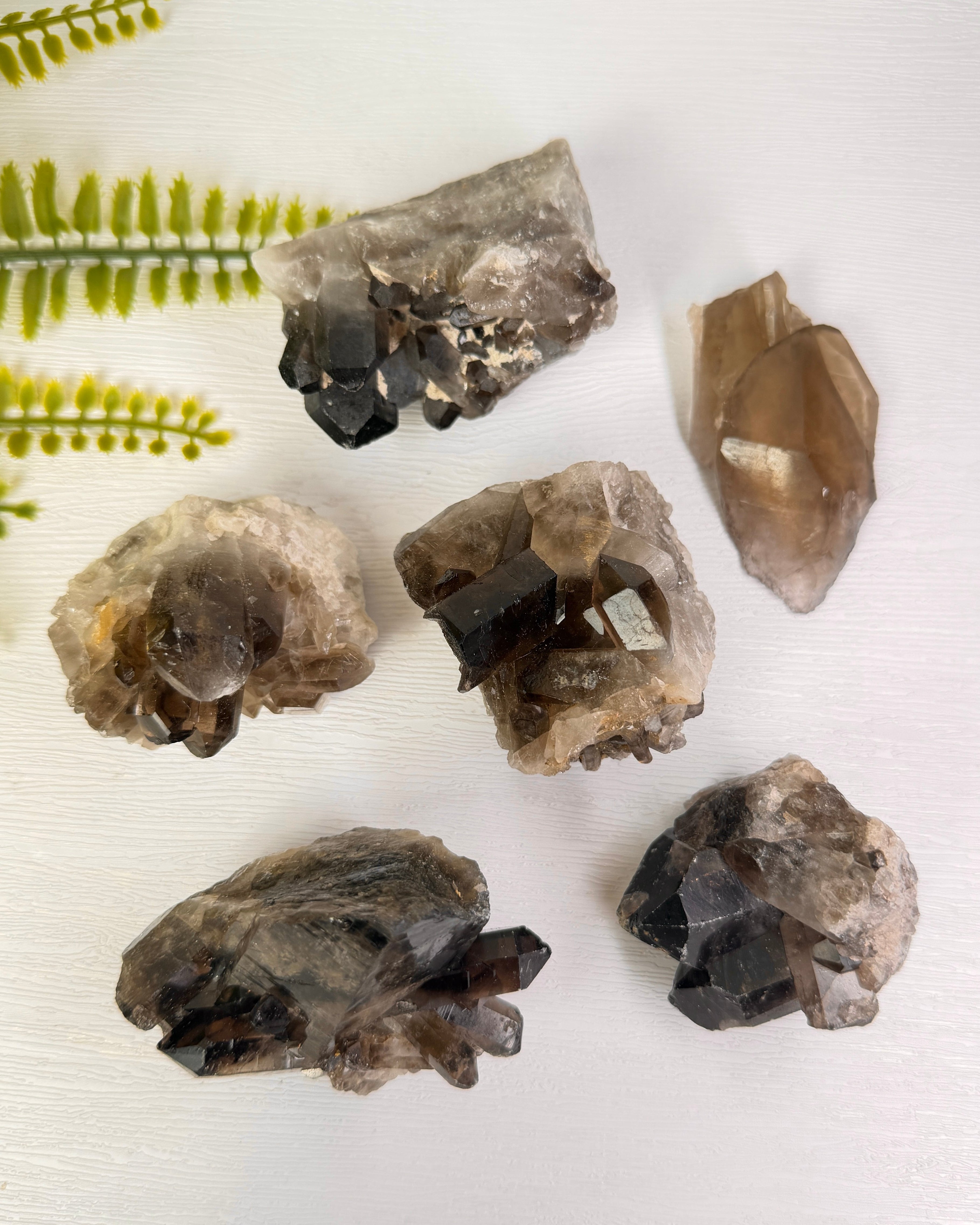 Rookkwarts Cluster