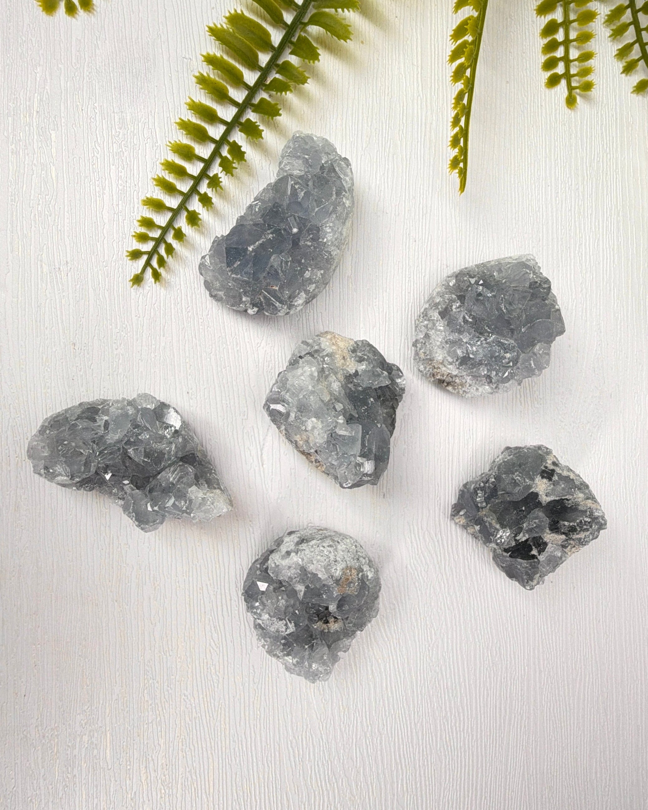 Kleine Celestien clusters