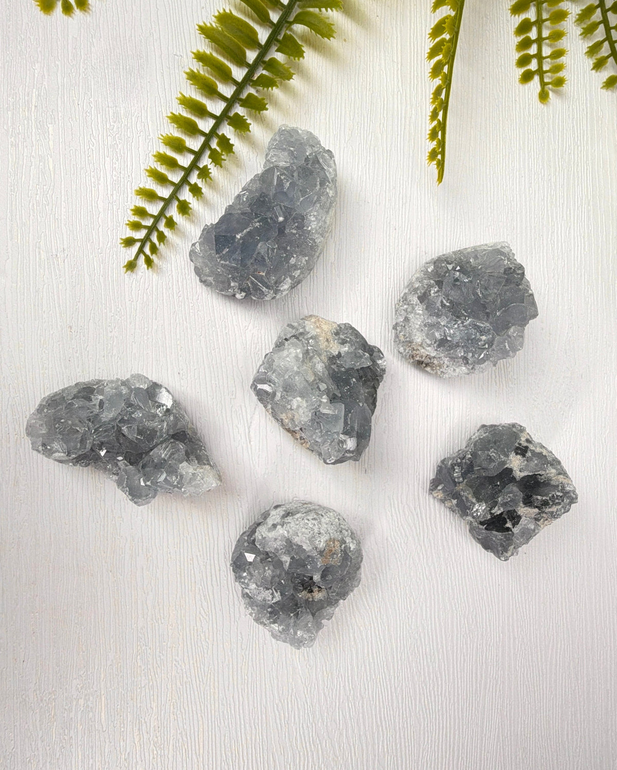 Kleine Celestien clusters