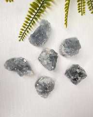 Kleine Celestien clusters