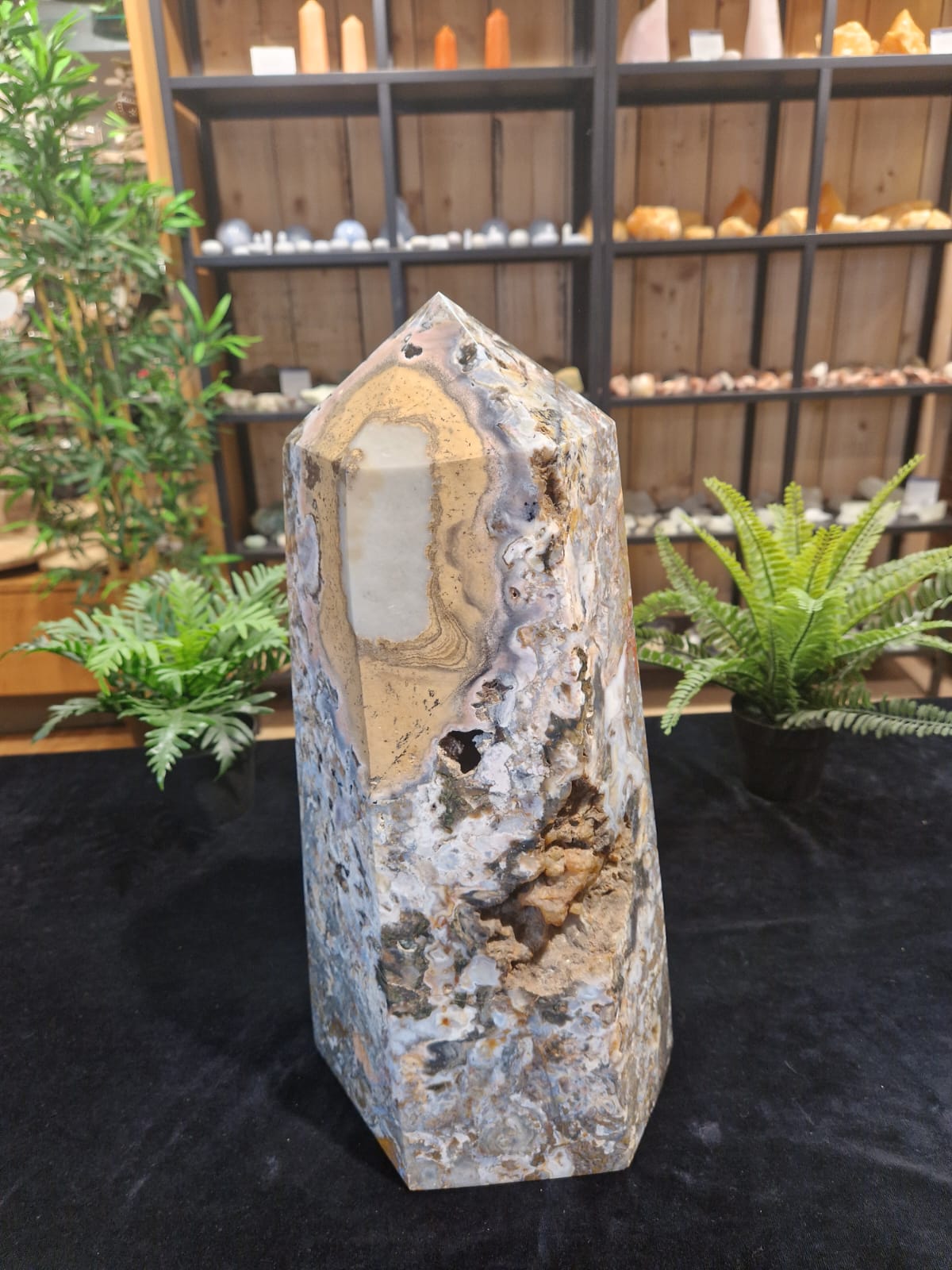 Oceaan Jaspis-Stechkahn