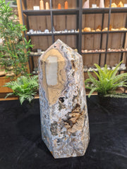 Oceaan Jaspis-Stechkahn