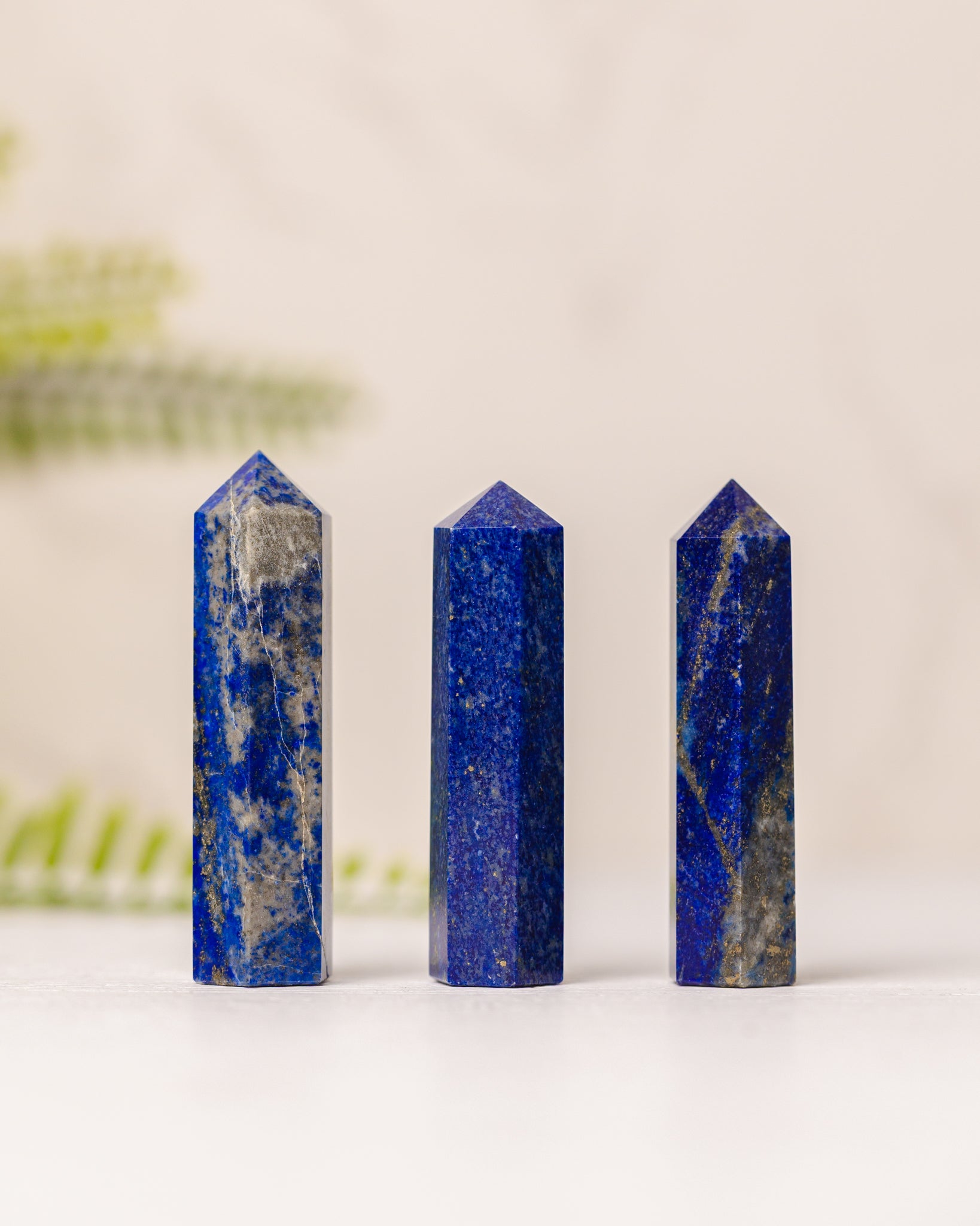 Torentjes - 3e gratis