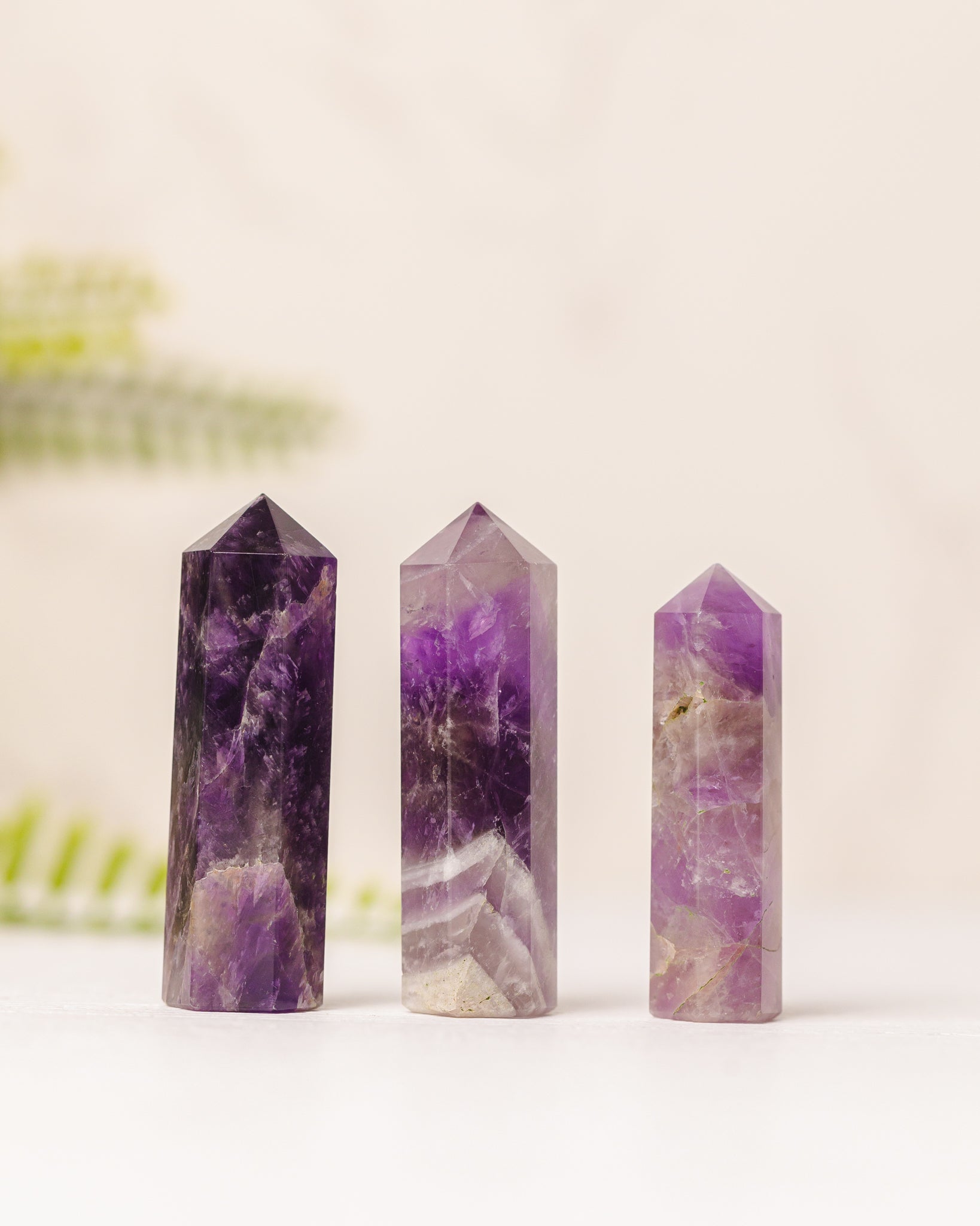 Torentjes - 3e gratis