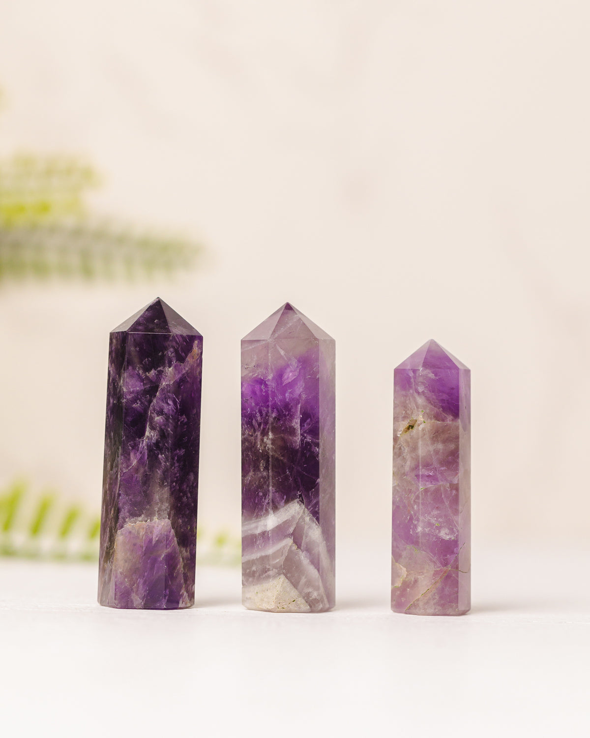 Torentjes - 3e gratis