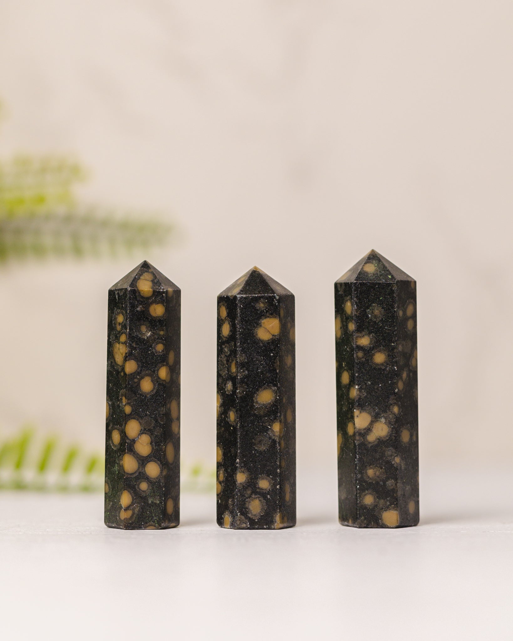 Torentjes - 3e gratis