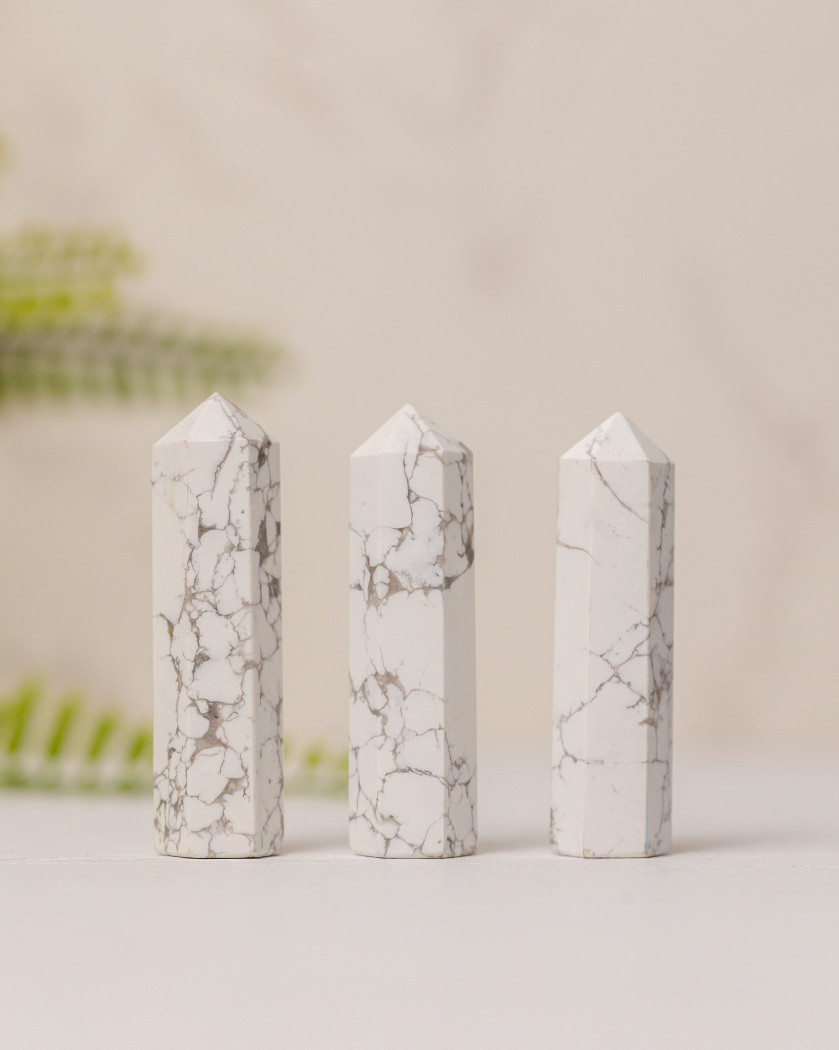 Torentjes - 3e gratis