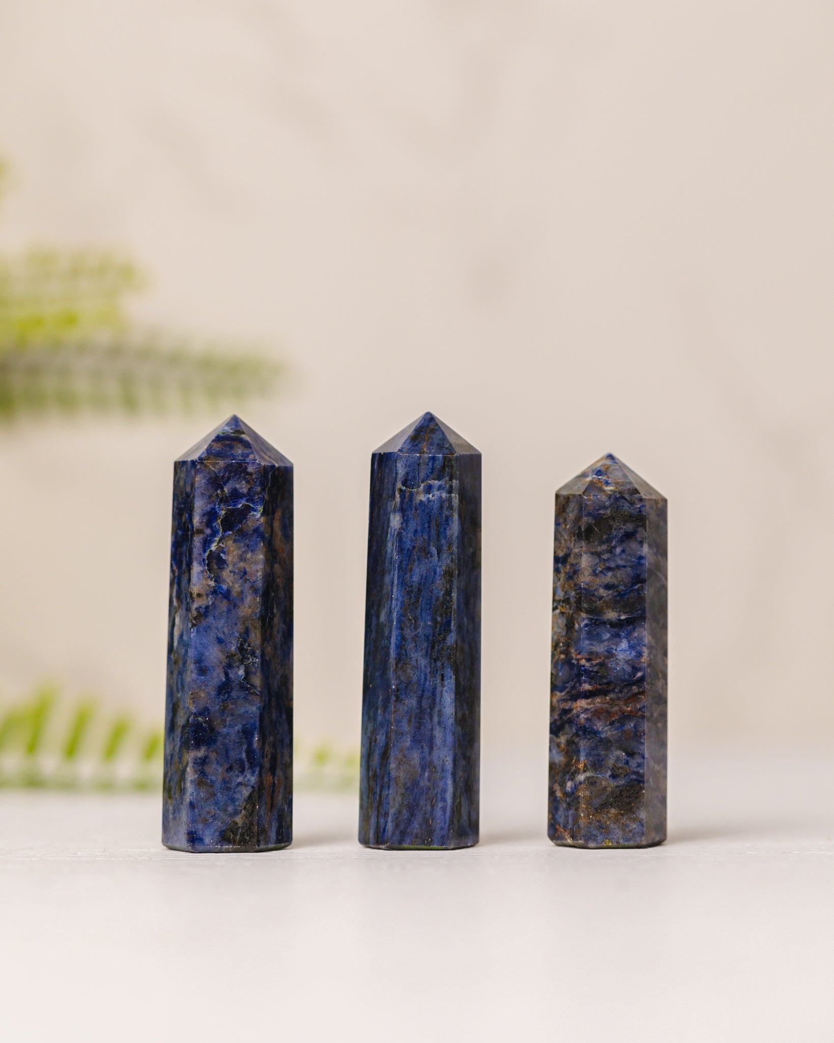 Torentjes - 3e gratis