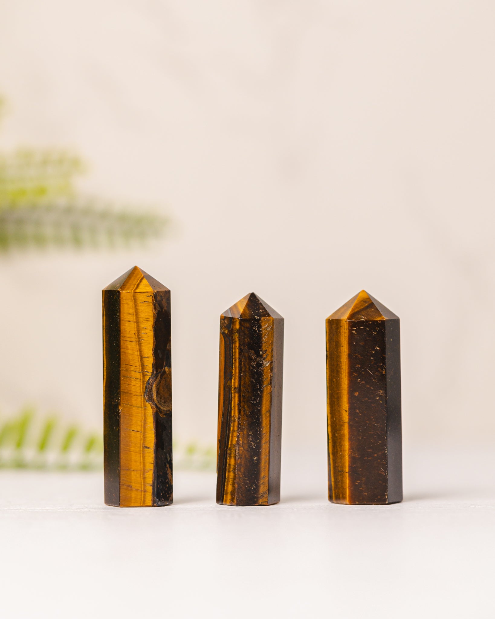 Torentjes - 3e gratis