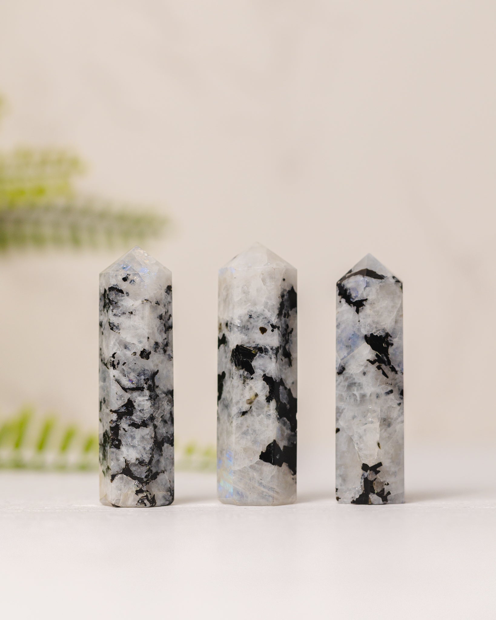 Torentjes - 3e gratis