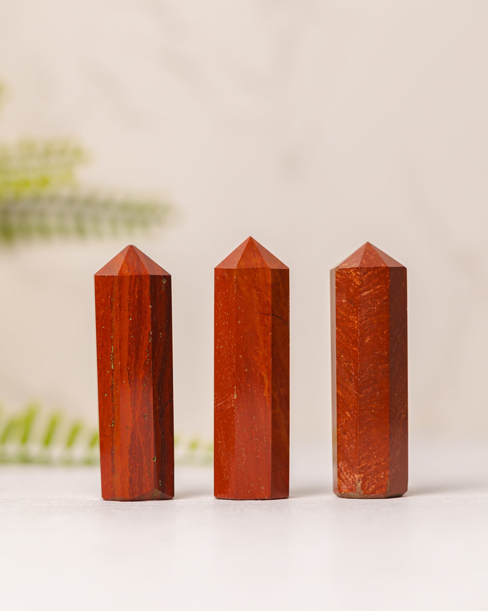 Torentjes - 3e gratis