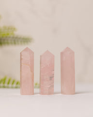 Torentjes - 3e gratis