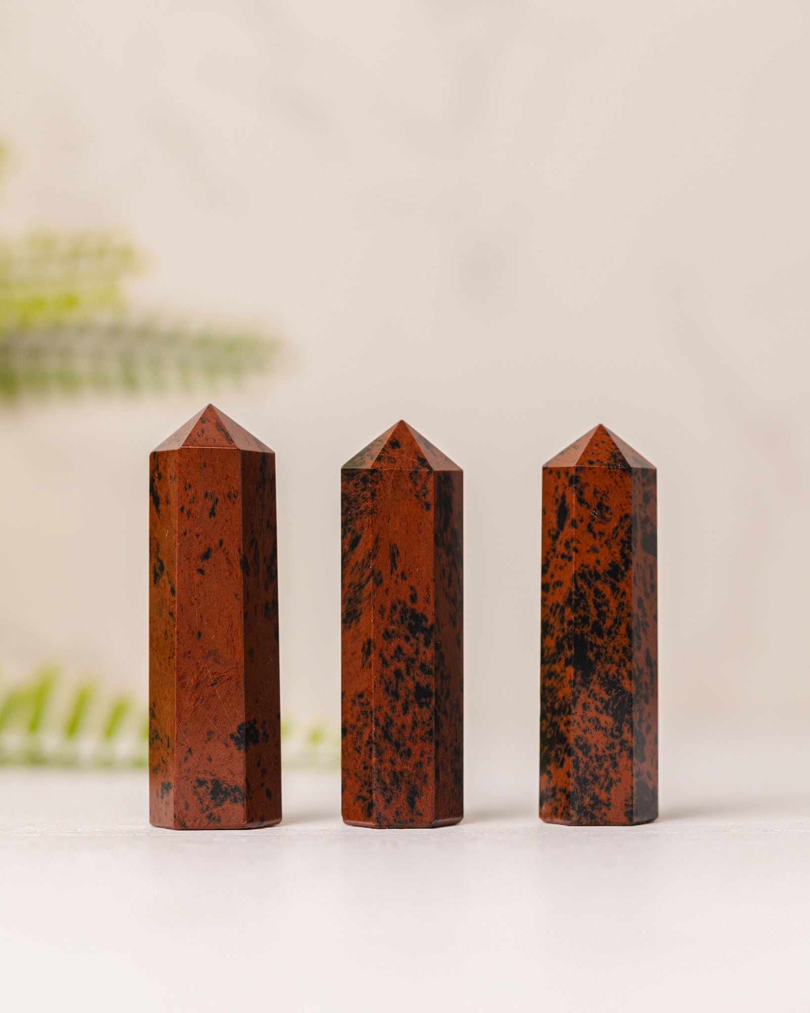 Torentjes - 3e gratis