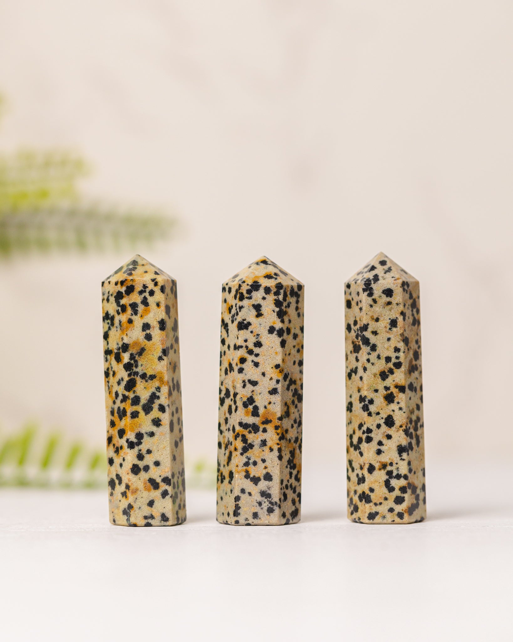 Torentjes - 3e gratis