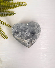 Celestien hart nummer 1