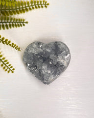 Celestien hart nummer 2