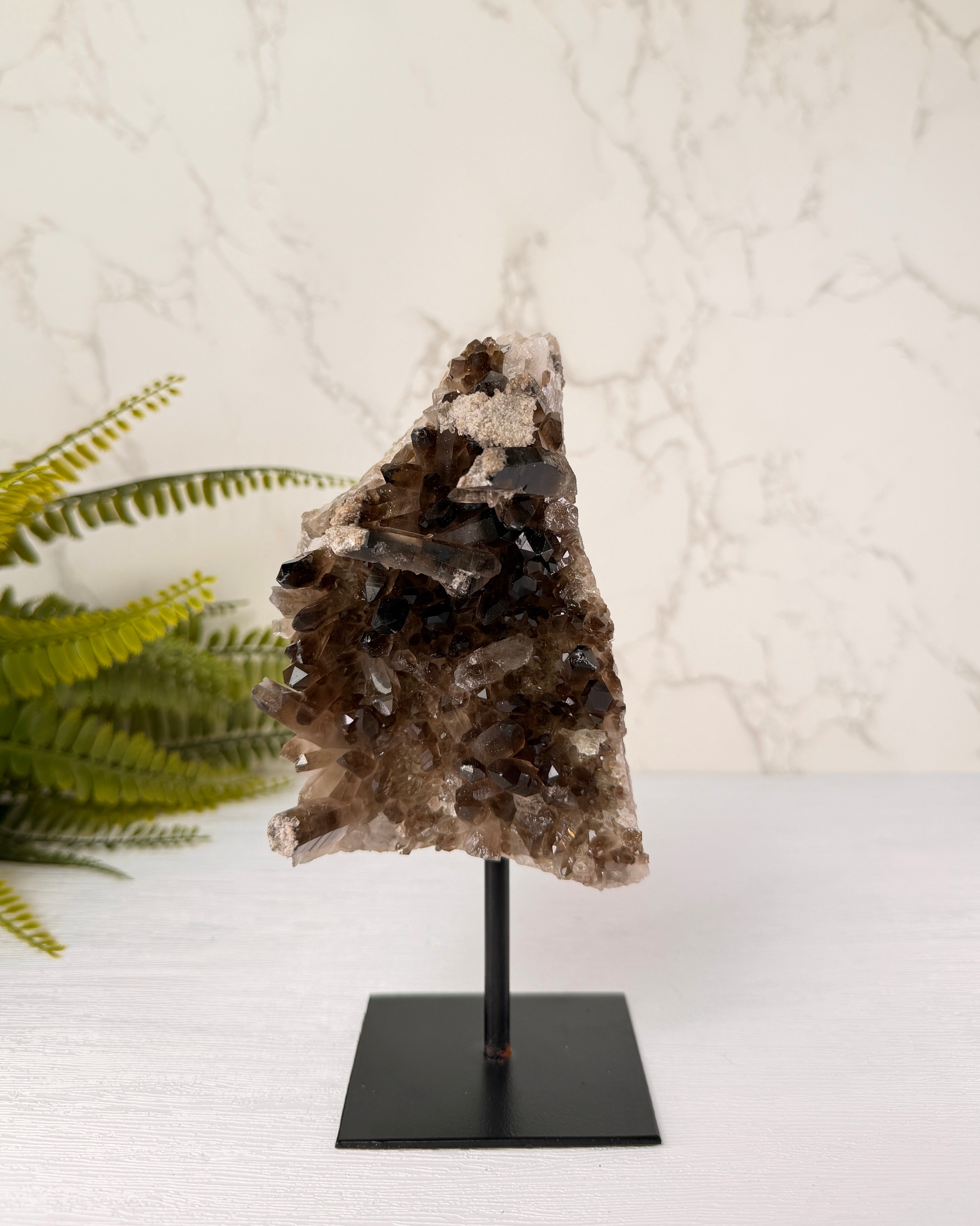 Rookkwarts op standaard nummer 5