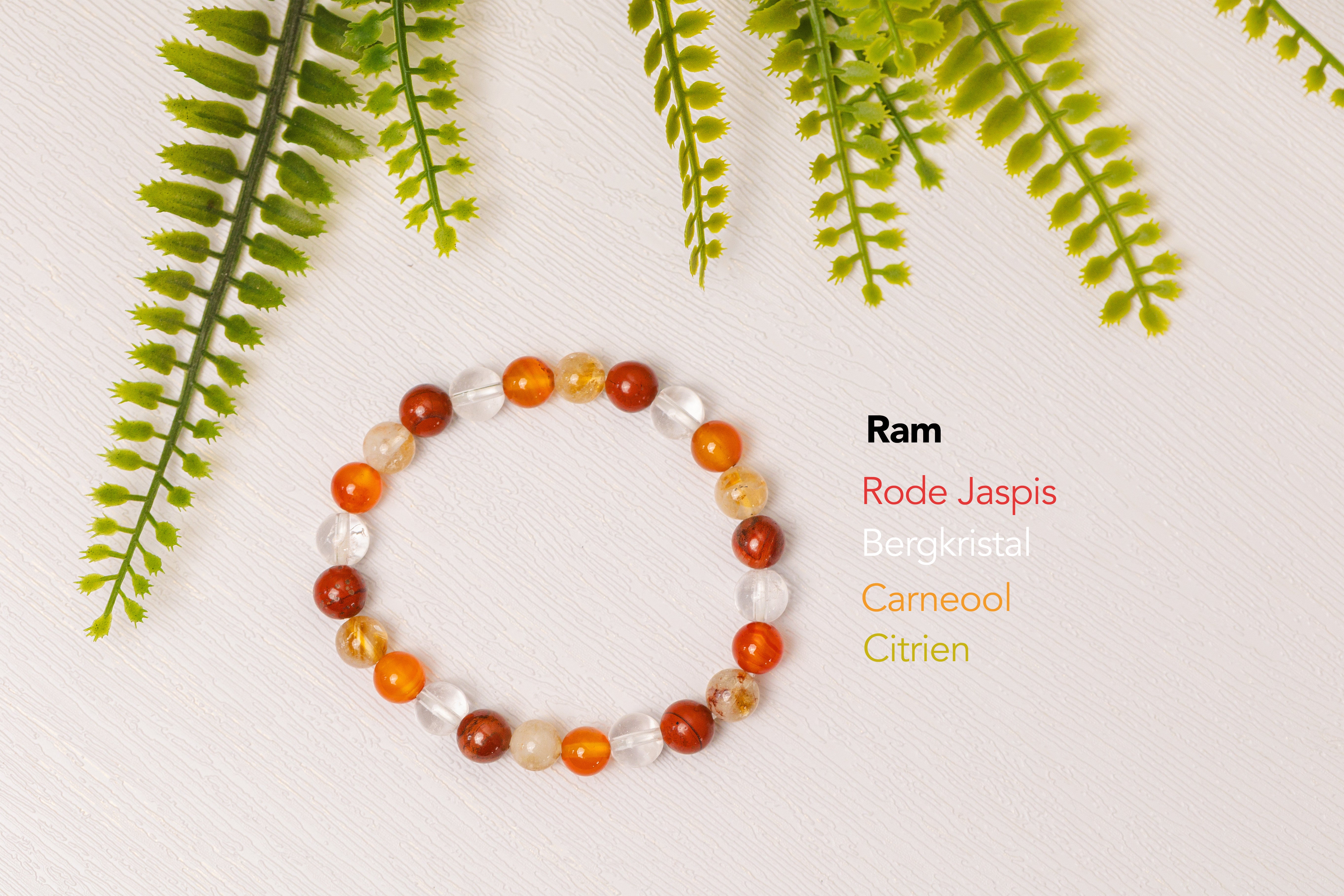 Sterrenbeeld armbanden - 3e gratis