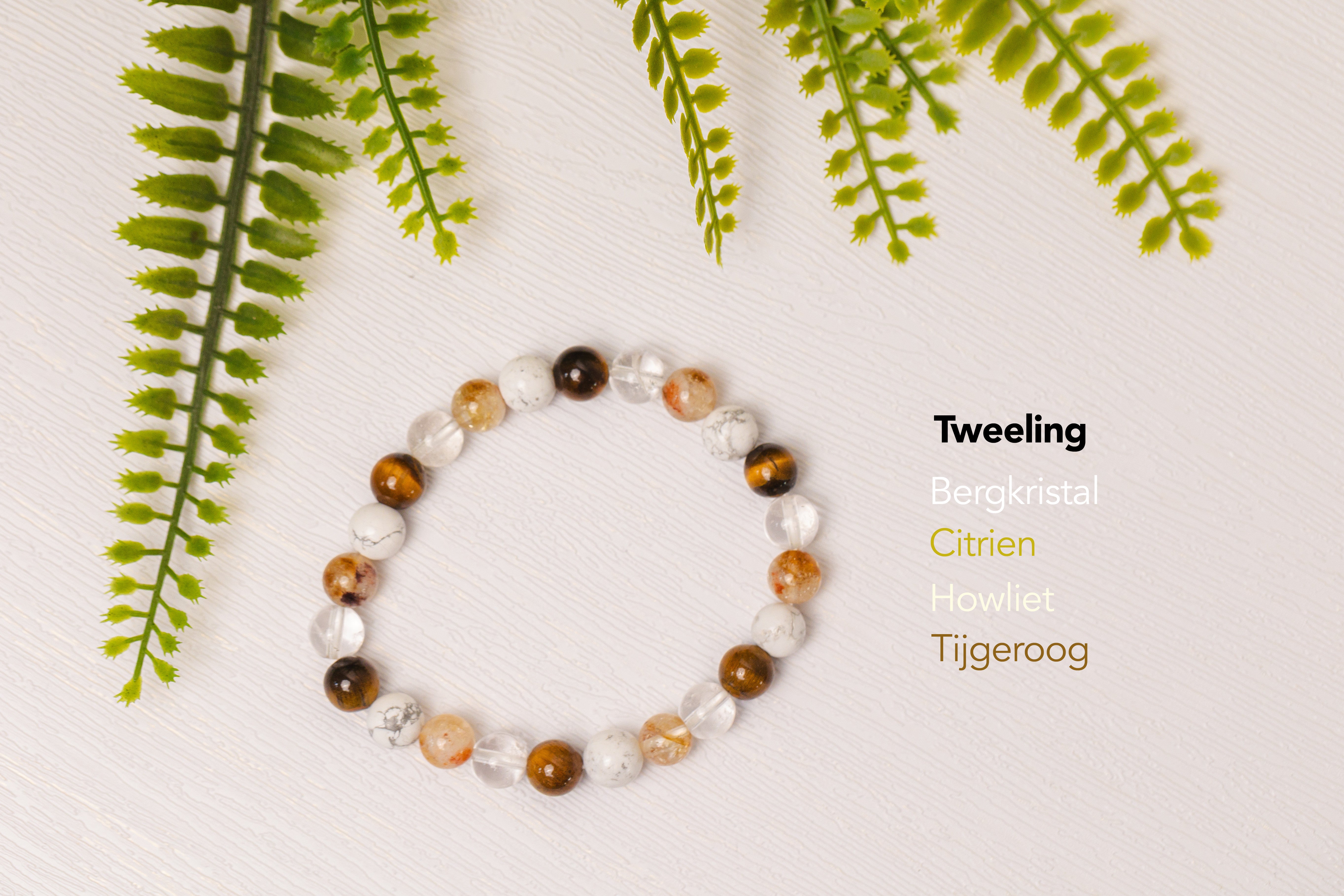 Sterrenbeeld armbanden - 3e gratis